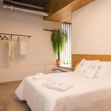 Appartement Petit Luxe Loft *